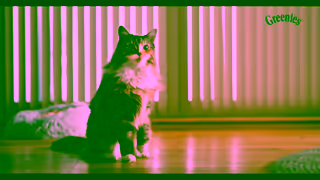 The Greenies Dental Treats Greenies AMOUR Make Health A Treat Armour 6sec 2024 Ad Commercial Brand Imagery Photoshoot 1