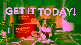 PetSmart 2025 ONLINE JULY 713 CAN Ad Commercial Brand Imagery Photoshoot 1