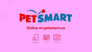 PetSmart 2025 ONLINE JULY 713 CAN Ad Commercial Brand Imagery Photoshoot 2