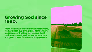 Consumer Choice Award Wintermere Sod Growers Consumer Choice Award Ad Commercial Brand Imagery Photoshoot 1