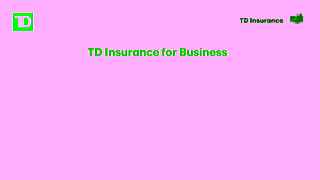 TD Insurance SBI Contractor V1 EN Ad Commercial Brand Imagery Photoshoot 0