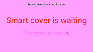 Honey Insurance Honey Insurance A Nov 24 1 min Ad Commercial Brand Imagery Photoshoot 2