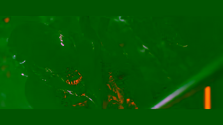 20th Century Studios Alien Romulus Buy It Now Only On Digital Ad Commercial Brand Imagery Photoshoot 0