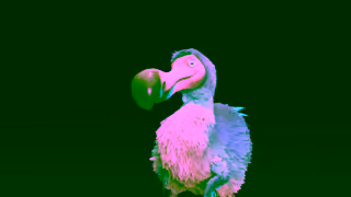 Dodo FY24 Dodo Mobile PMax50 Offer Ad Commercial Brand Imagery Photoshoot 0