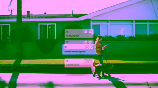 SurveyMonkey DogWalkBritish 6s Ad Commercial Brand Imagery Photoshoot 1