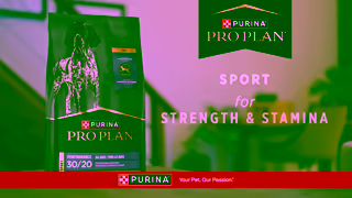 Purina Your Active Dogs Lifestyle Starts with His Dog Food Get Started Ad Commercial Brand Imagery Photoshoot 2