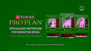 Purina Watch Peppers Story PRO PLAN Sensitive Skin Stomach Dog Food Ad Commercial Brand Imagery Photoshoot 2