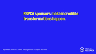 RSPCA.org.uk considfilm15youtube Ad Commercial Brand Imagery Photoshoot 2