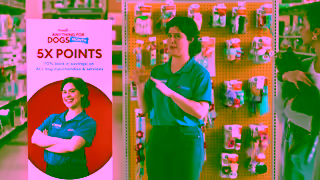 PetSmart PetSmart Anything for Dogs Month 2025 Ad Commercial Brand Imagery Photoshoot 2
