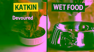 KatKin 031023 PMAXAds 1x91x1 ValueAd Ad Commercial Brand Imagery Photoshoot 1