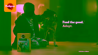 Pedigree PEDIGREE Feed the good Ad Commercial Brand Imagery Photoshoot 2