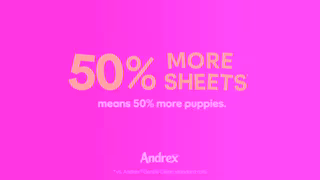 Andrex Andrex Gentle Clean Mega Rolls Ad Commercial Brand Imagery Photoshoot 0