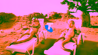 Telstra Telstra Warmun is better on a better mobile network Ad Commercial Brand Imagery Photoshoot 2