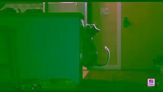 Hill's Moto 15 cutdown OLV Mix 1 Ad Commercial Brand Imagery Photoshoot 0