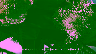 L'Oreal Supporting the fight to bring colour back to the Great Barrier Reef Ad Commercial Brand Imagery Photoshoot 0