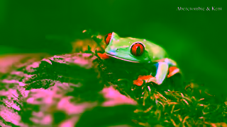 Abercrombie & Kent Discover Costa Rica with AK Ad Commercial Brand Imagery Photoshoot 1