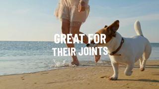 VITALIN Pet Food Vitalin Great Joints Ad Commercial Brand Imagery Photoshoot 0