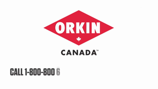 ORKIN Trust the Best In Pests Orkin Canada Ad Commercial Brand Imagery Photoshoot 2