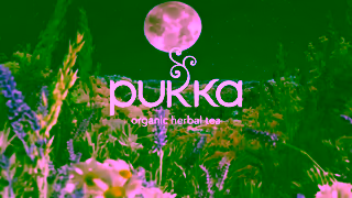 Pukka Herbs Discover a Blend of Herbal Wonder NightTime Ad Commercial Brand Imagery Photoshoot 0