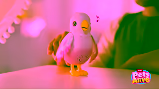 ZURU Toys PA Magic Bird Girls 5 8 169 6s Speak YOUTUBE Ad Commercial Brand Imagery Photoshoot 1